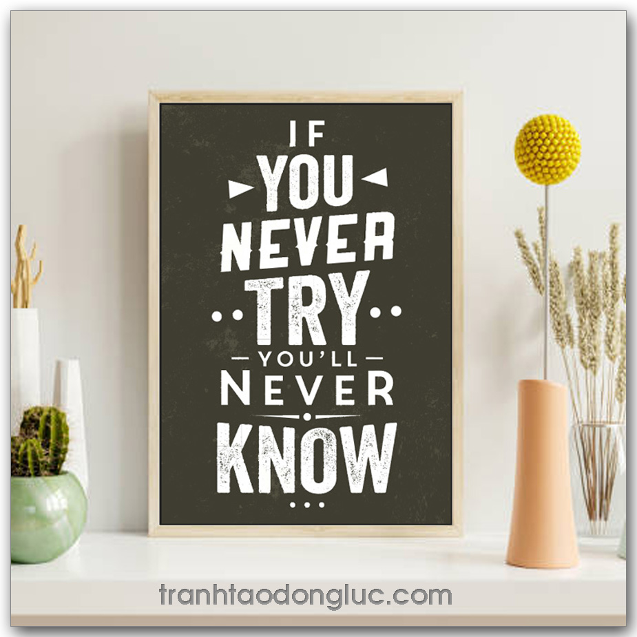 Tranh động lực tiếng Anh: If you never try you'll never know